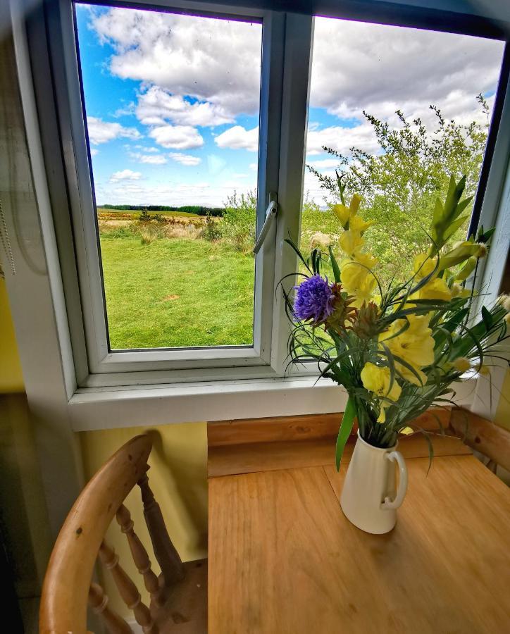 Bluebell Off-Grid Van Newton Stewart Exterior foto